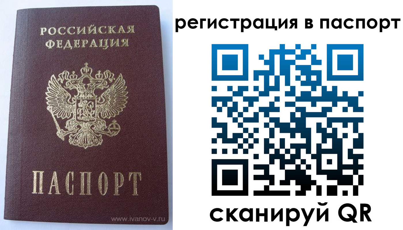 прописка поиск в Кургане